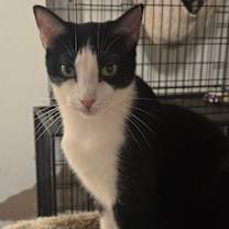 Thumbnail photo of Mason #2