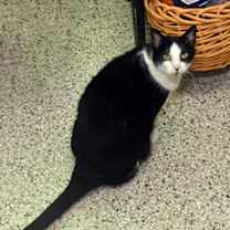 Thumbnail photo of Sallie #2