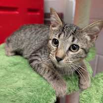 Thumbnail photo of Briana #2