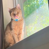 Thumbnail photo of Minina #4