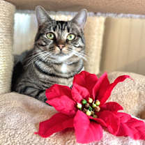 Thumbnail photo of Georgi #1