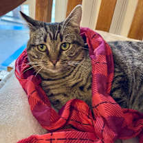 Thumbnail photo of Georgi #2