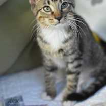 Thumbnail photo of Alex #1