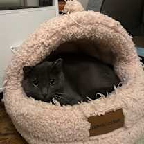 Thumbnail photo of Eleanor #2