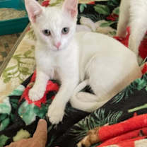 Thumbnail photo of Wynken #3