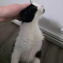 Thumbnail photo of Sylvie #2