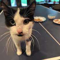 Thumbnail photo of Sylvie #3