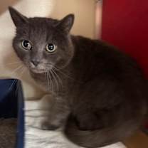 Thumbnail photo of Krew OF124 #2