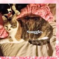 Thumbnail photo of Snuggles #3