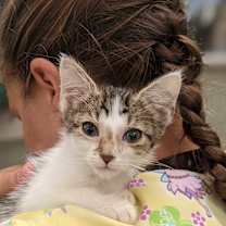 Thumbnail photo of Athena #4