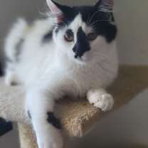 Thumbnail photo of Nonna #1