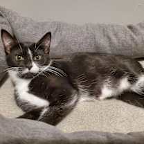 Thumbnail photo of Boogerella #2