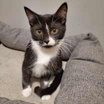 Thumbnail photo of Boogerella #3