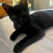 Thumbnail photo of MILO #4