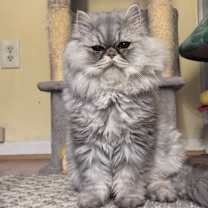 Thumbnail photo of Stormi #1