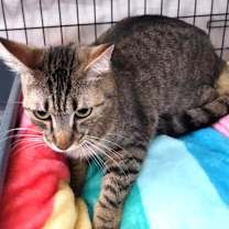 Thumbnail photo of Avril #3