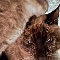 Thumbnail photo of Little Barnes #3