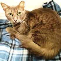 Thumbnail photo of Denver #1