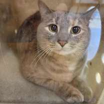 Thumbnail photo of Judah #2