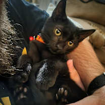 Thumbnail photo of Pepper #2