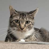 Thumbnail photo of Easter #3