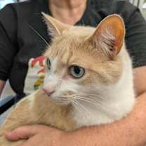 Thumbnail photo of Neo #1