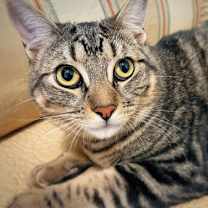 Thumbnail photo of Big Back #1