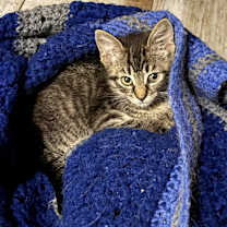 Thumbnail photo of Ezra #1