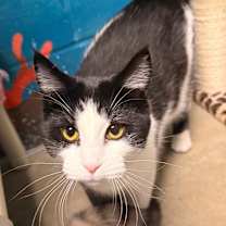 Thumbnail photo of Dani #2