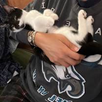 Thumbnail photo of Moo Moo #3