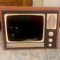 Thumbnail photo of Martini #2