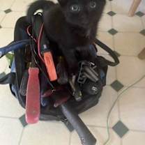 Thumbnail photo of Dakota #2