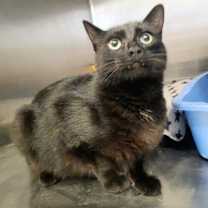 Thumbnail photo of Eleanor #2