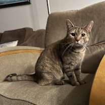 Thumbnail photo of Bianca #1