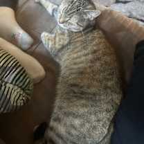 Thumbnail photo of Bianca #2