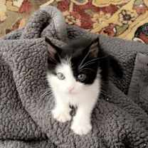 Thumbnail photo of Myra #4