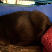 Thumbnail photo of Sarah #2