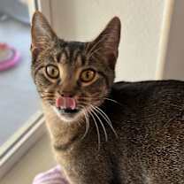 Thumbnail photo of Turkey #2