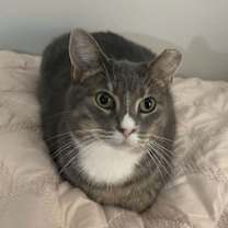 Thumbnail photo of Nuray #1