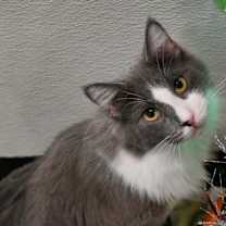 Thumbnail photo of 34 Jax #1