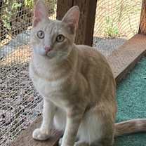 Thumbnail photo of Agave #3