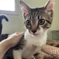 Thumbnail photo of Deb #1