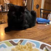 Thumbnail photo of Theory #4