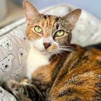 Thumbnail photo of Wilma #1