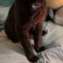 Thumbnail photo of Serena #1