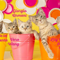 Thumbnail photo of Giorgio Armani #4