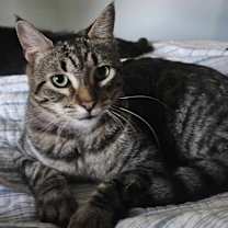 Thumbnail photo of Andrew #1