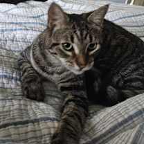 Thumbnail photo of Andrew #4