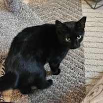 Thumbnail photo of Lottie #2