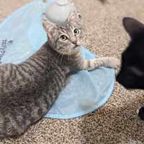 Thumbnail photo of Lena #4